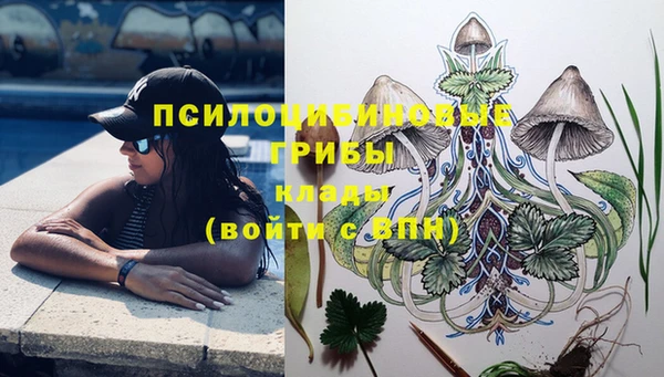 метадон Алексеевка