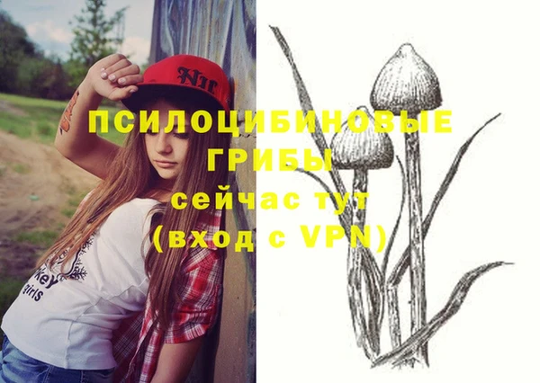 шишки Алексин
