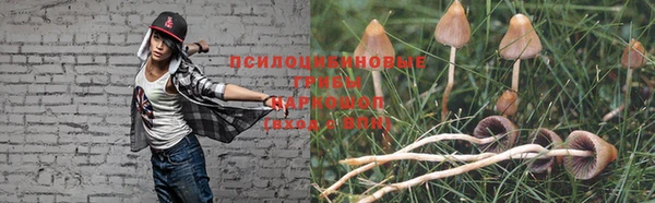 метадон Алексеевка