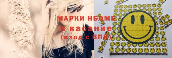 шишки Алексин