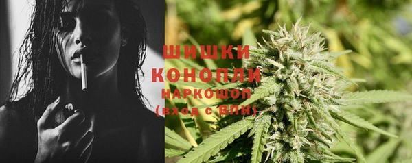 шишки Алексин