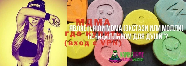 шишки Алексин