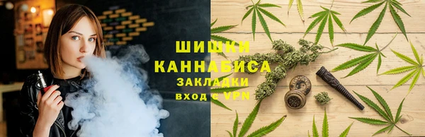 шишки Алексин