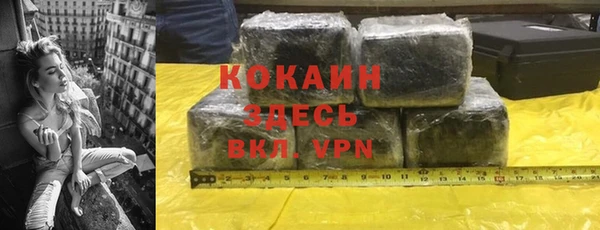 шишки Алексин