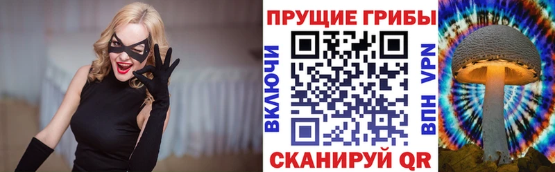 где купить наркоту  Любань  Псилоцибиновые грибы MAGIC MUSHROOMS 